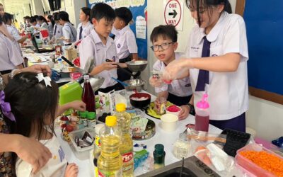 Small Business Program 2024